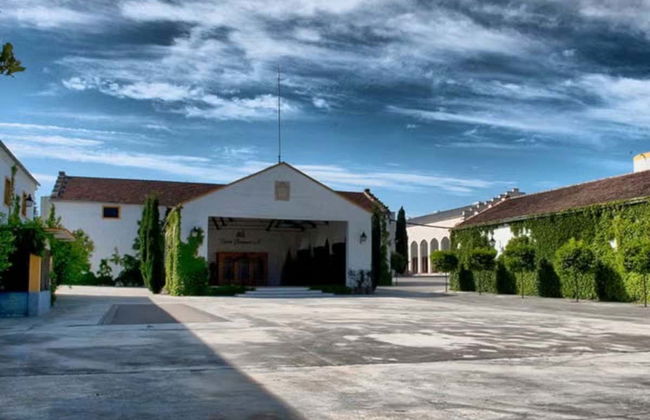 Visita a la bodega Pérez Barquero - Foto 3