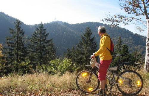 Ferienwohnung 'auf dem Burstel' - Foto 25