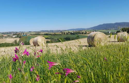 Tenuta San Felice - Foto 56