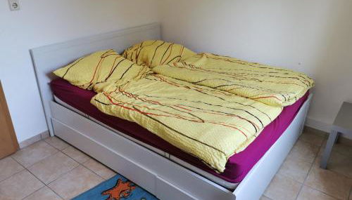 Haus-Deichläufer - Foto 2