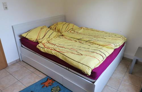 Haus-Deichläufer - Foto 2