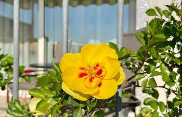 Casa Le Campane sulla Via Francigena - Photo 6