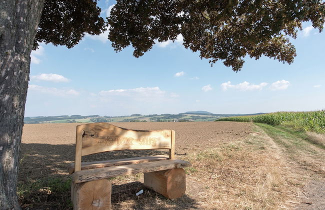 Apartment in Saxony With Terrace - Foto 23