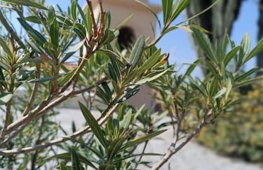 L'Eden di Turo Brand New Loft - Foto 40