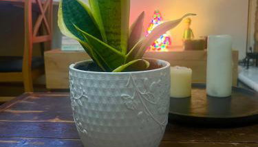 Sissy sweet Home - Foto 3