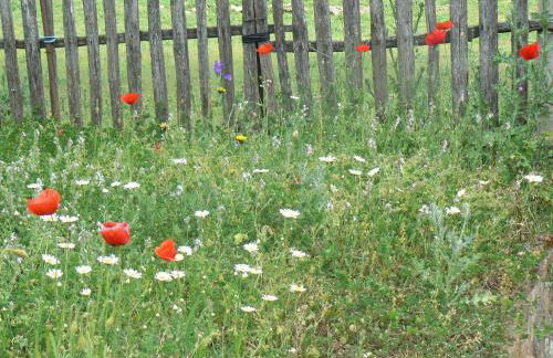 Los Pozos de la Nieve - Photo 67