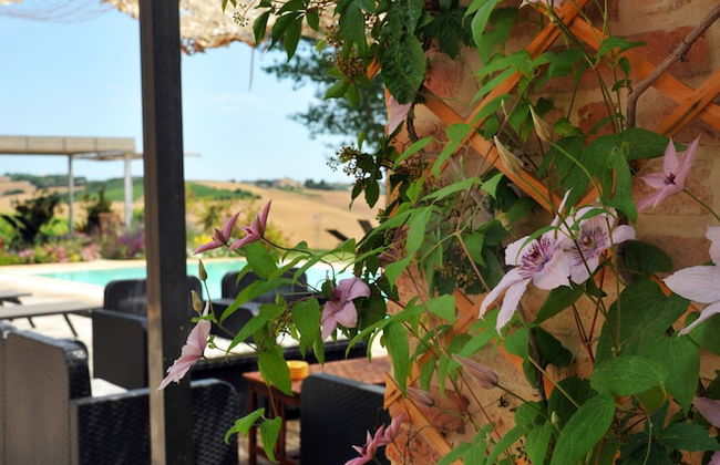 La Vita Nuova - Foto 54