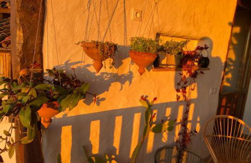 Lanzaroco, tu casa en La Vera - Foto 47