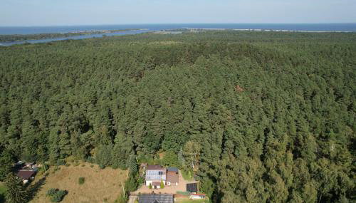 UROCZYSKO POD LASEM - Foto 3