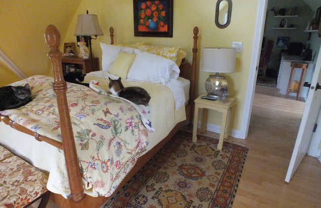 Montrose Farms Alpaca Ranch - Foto 4