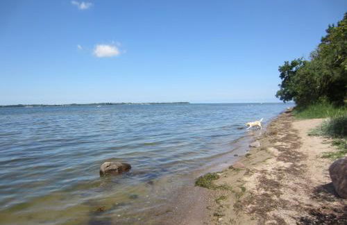 Ferienwohnung Sundblick - Photo 22