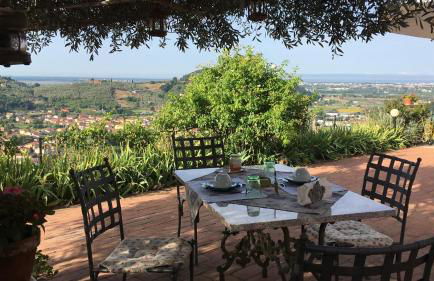 Azienda agricola Della Mezzaluna - Foto 39