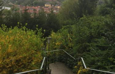 Mainzimmer Business Appartment - Monteurwohnung mit Burgblick - Foto 14