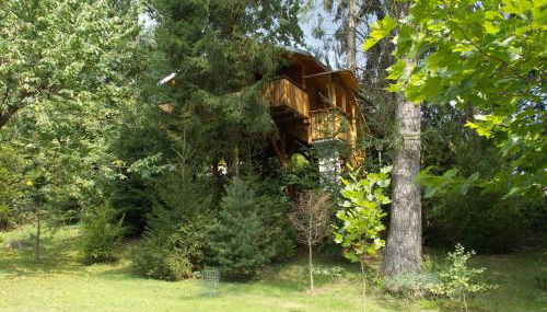 Baumhaus Wolfshöhle - Foto 2