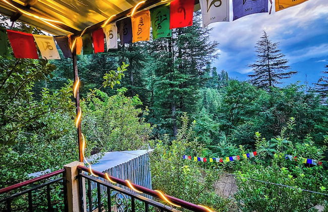 PREMALYA TRAILS By Tirtha - Foto 32