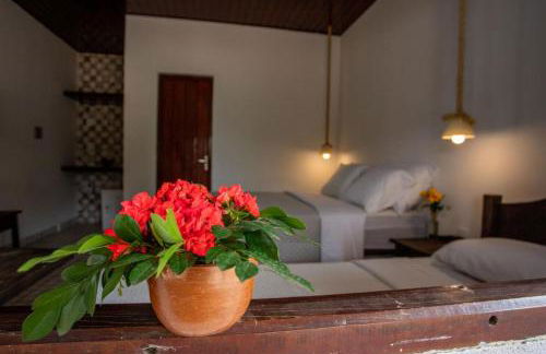 EcoPousada Pico do Jabre - Photo 18