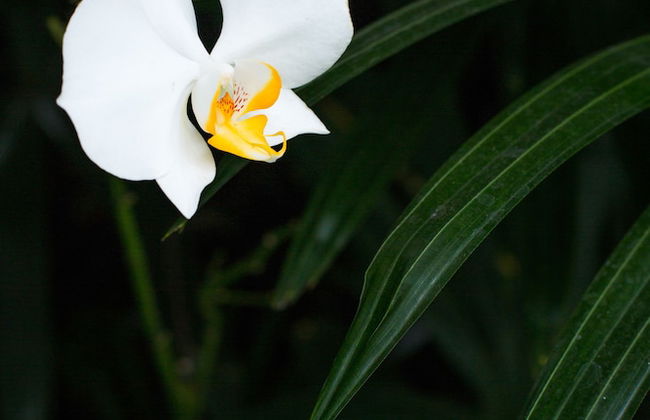 Villa Seriska Dua Sanur Bali - Foto 68