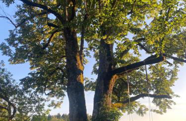 Maison la couronne - Foto 32