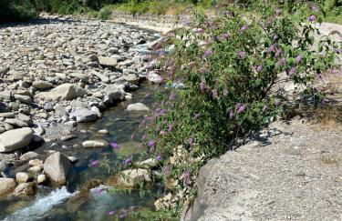 Ca’ Alba - Photo 31