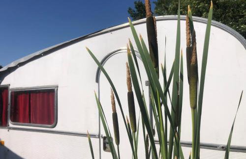 Tiny house sur la Loire à vélo à Villandry - Foto 9