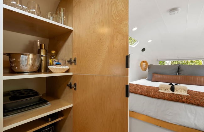 Silver Fern in Pisgah Forest - Foto 26