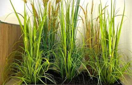 Moderne Wohnung in Weißenburg - Foto 6