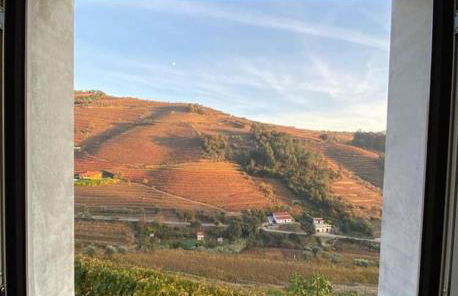 Outeiro Douro House - Photo 26