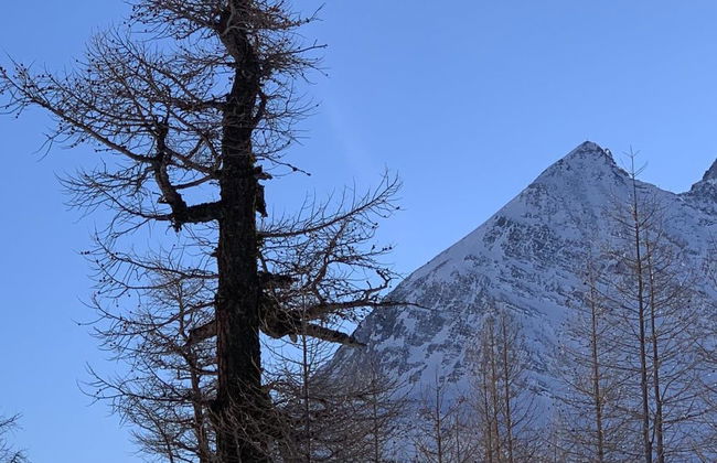 Bergfreude - Foto 68