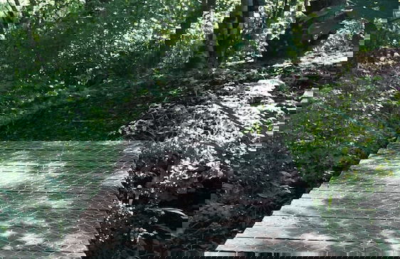 Off-grid Cork Cabin With It's Own Island - Foto 19