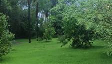 Nosso Cantinho Delfinópolis Serra da Canastra - Photo 2