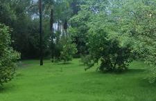 Nosso Cantinho Delfinópolis Serra da Canastra - Photo 2