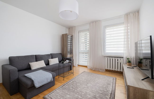 Grey Apartment in Katowice by Renters - Foto 1