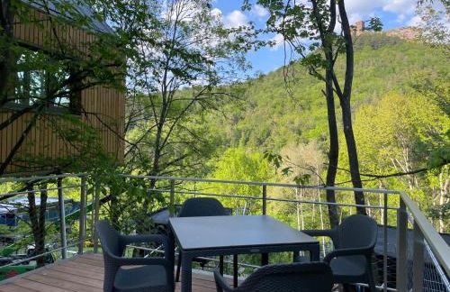 Baumwipfelhaus - Foto 18