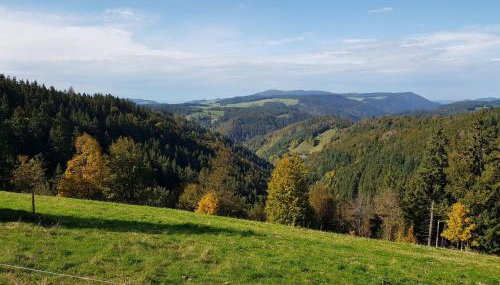 Ferienwohnungen Schönwald - Foto 4