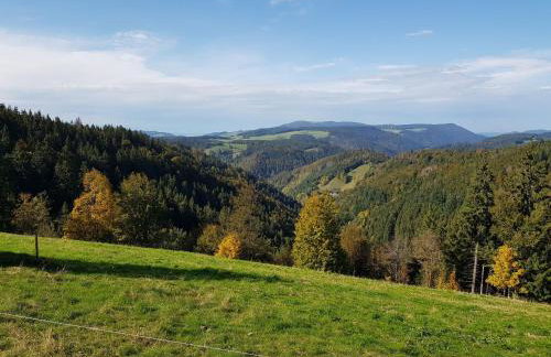 Ferienwohnungen Schönwald - Foto 4