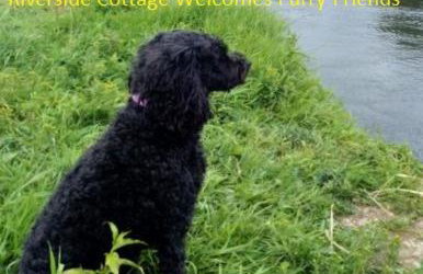 Riverside Cottage at Logwood Mill - Foto 12