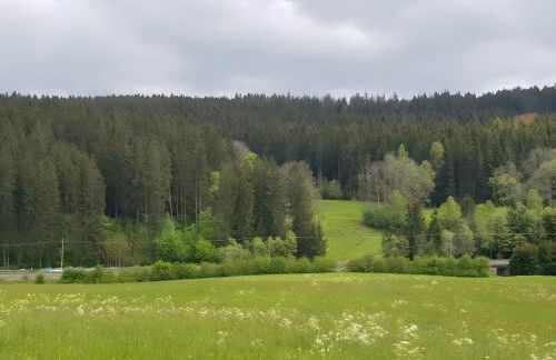 Ferienwohnung am Brunnen - Foto 24