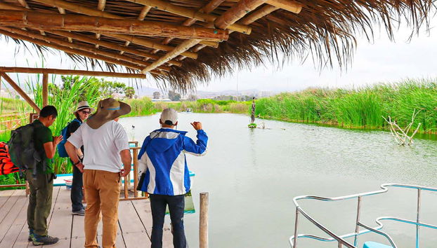 Learn all about the biodiversity of the area