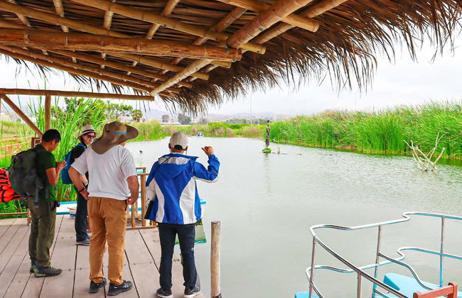 Pantanos de Villa Day Trip - Foto 4