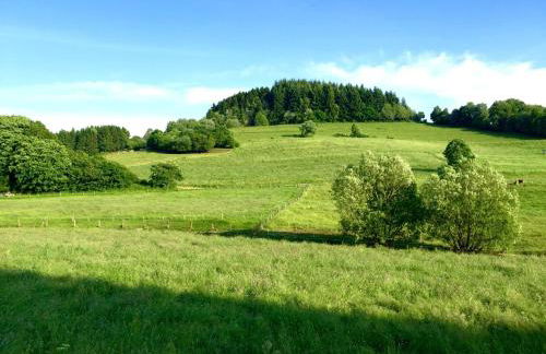 Ferienhaus Eifeltraum Magma - Foto 9