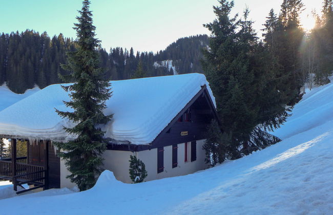 Le Cyclamen - Foto 2