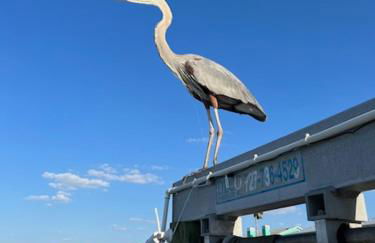 The Salty Cove IRB - Foto 33