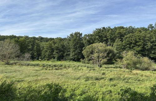 Ferienwohnung Farrnbach - Photo 22
