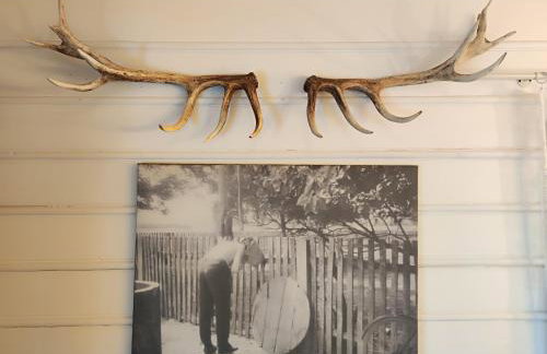 Gniazdo w Felicjanowie - Foto 48