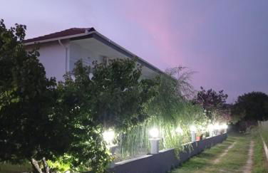 Anestis Studios - Foto 8