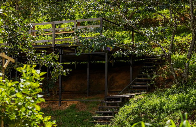 Du An Garden Retreat Forest - Photo 17