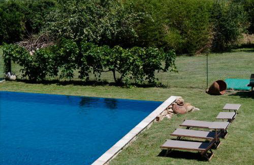 Tuttaterra - Foto 15