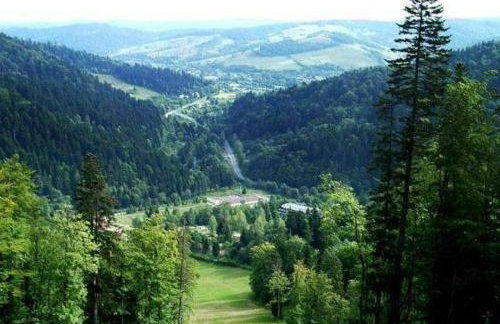 Całoroczny Domek Góry Bieszczady - Foto 20