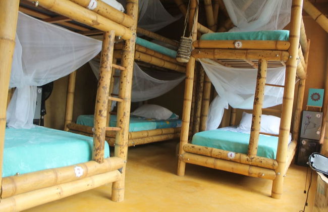 Sol de minca - Photo 6