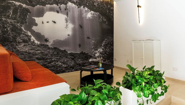 Entrada (vista interior)